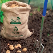 Maincrop Caesar 2kg